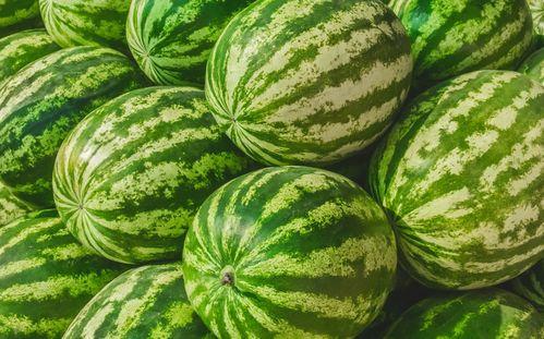 吃瓜网每日大赛聚集地,每日大赛聚集地，精彩赛事一网打尽！