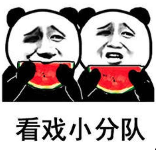 发吃瓜表情包怎么回复,揭秘热门表情包背后的趣味与智慧