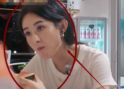 娱乐吃瓜胖姐是谁啊视频,网络红人的崛起之路